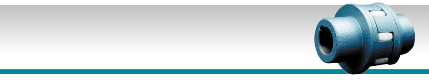 kupplungswerk 弹性联轴器