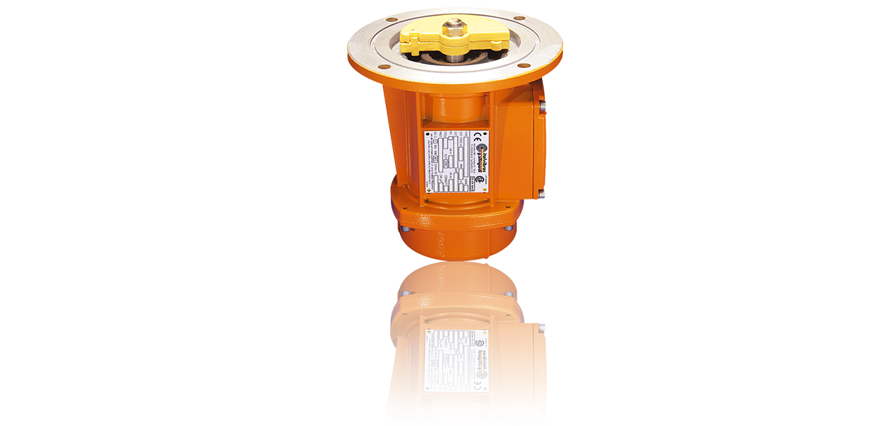 netter  vibration NEG系列高频电动外振器