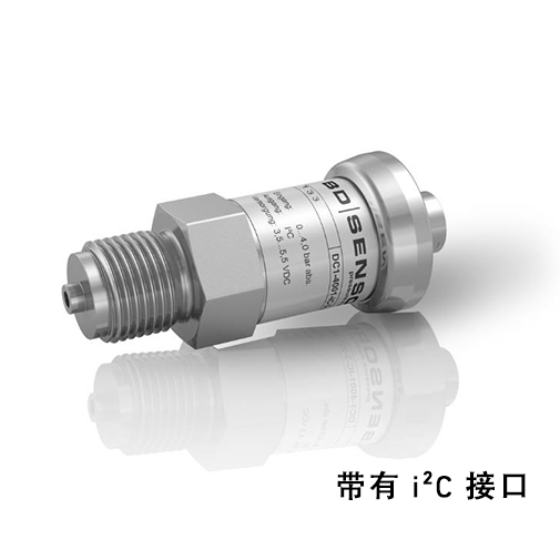 bd-sensors 塑料投入式液位计 